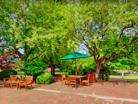 A patio area with wooden tables and chairs, shaded by a green umbrella and surrounded by lush trees on a sunny day.